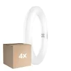 Monipakkaus 4x Osram LED Putki T9 Pyöreä (EM/Mains) 11W 1320lm - 840 Kylmä Valkoinen | Korvaa 22W
